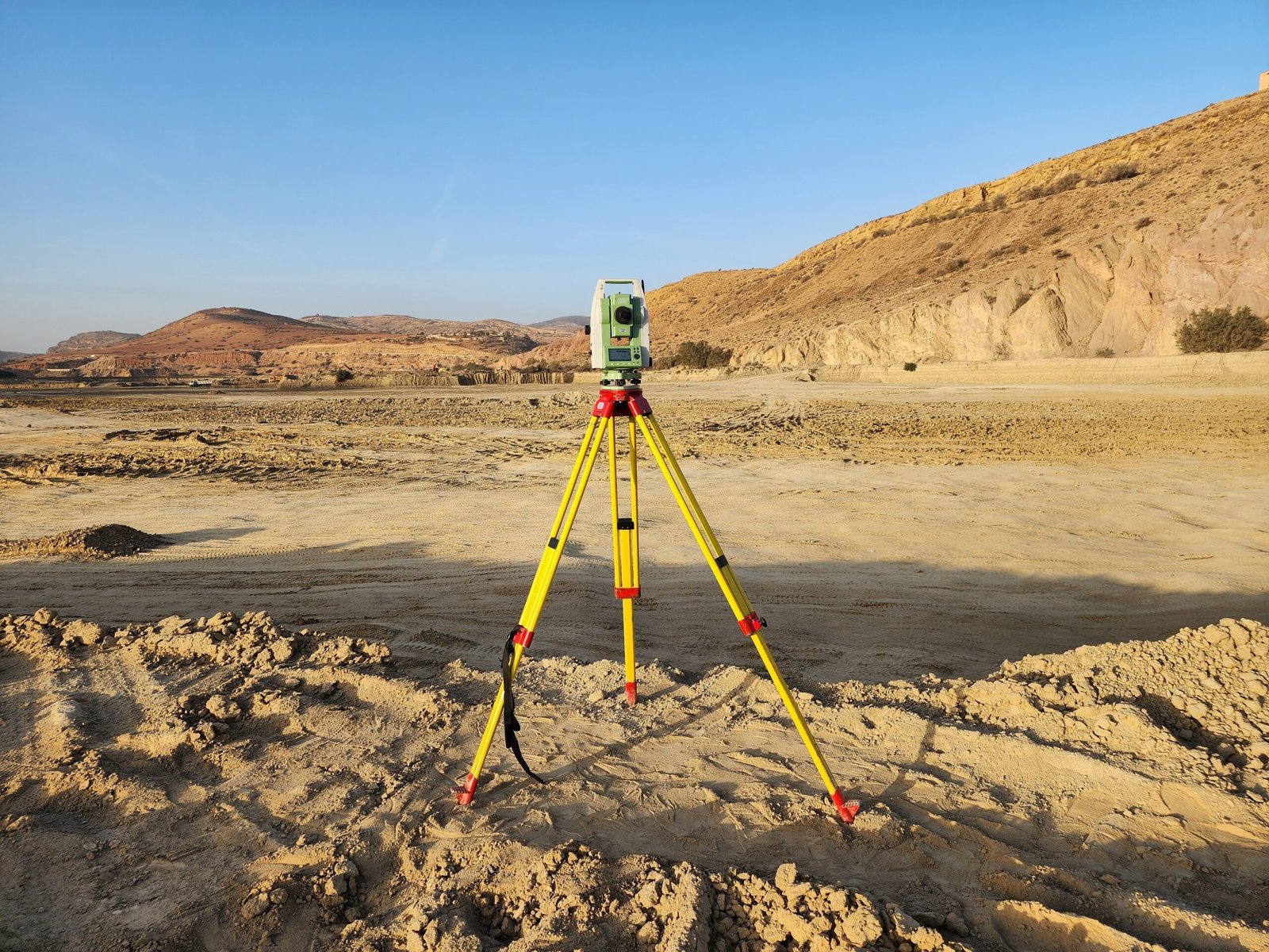 Survey Data Reporting services