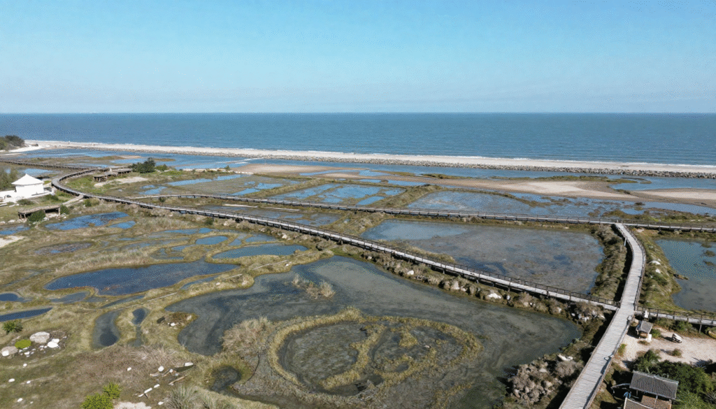 Coastal wetlands with boardwalks and tidal ponds designed for long-term environmental management and habitat protection