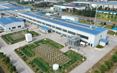 The Silent Guardians: How Environmental Impact Assessments Prevent Invisible Ecological Damage